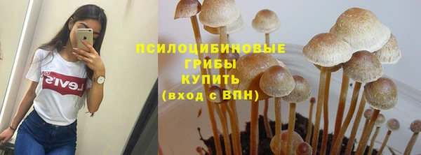дживик Алзамай