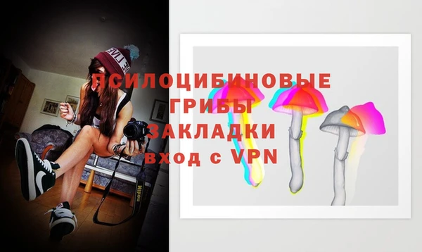 PSILOCYBIN Алексин