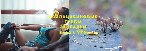 соль курить ск Алексеевка