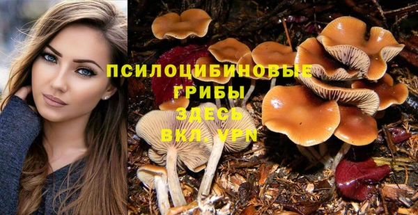 дживик Алзамай