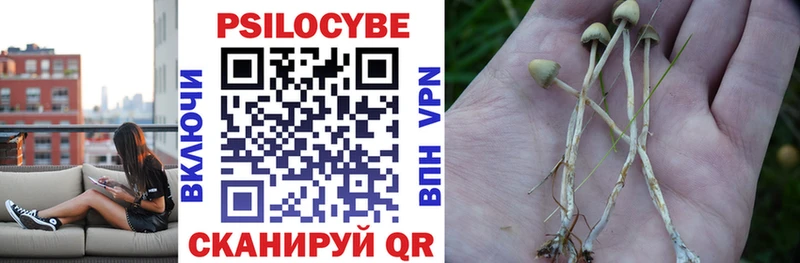 Псилоцибиновые грибы Psilocybe  Нефтекумск 